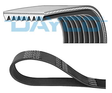 PASEK WIELOKLINOWY 1445 MM CAT 285-9082 DAYCO-28390