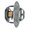 TERMOSTAT ORYGINAŁ STAHLTER /24100.78/74717034/ -5217