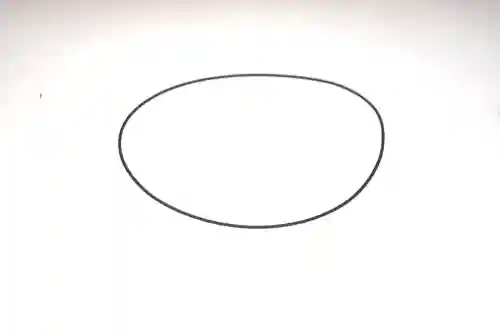 PIERŚCIEŃ ORING ZWOLNICY DANA SPICER TYP211 31712-18284