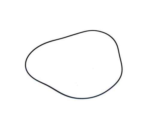 ZF 1000105902  PIERŚCIEŃ TYPU O-RING 317125-21098