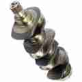 CRANKSHAFT AP31315681 WAŁ KORBOWY 1004.40 1004.40T-8819