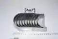 MAIN BEARING SET +0,25MM /PANEWKI GŁÓWNE KPL.R1   -11892