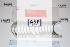 PANEWKI GŁÓWNE  KPL.STD NOM. SILNIK WEICHAI STEYR 