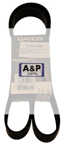 PASEK KLINOWY WIELOROWKOWY 8PK1480 HD DAYCO-24044