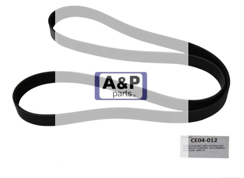 PASEK KLINOWY WIELOROWKOWY CUMMINS QSB   -24696