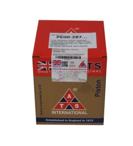 TŁOK SILNIKA PERKINS SERIA VK 1106C-E60T 100MM 