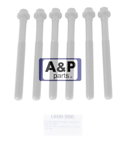 ZESTAW ŚRUB GŁOWICY LIEBHERR D904  9175565-25419