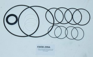 KOMPLET USZCZELNIEŃ POMPY GŁÓWNEJ P-8A/C 