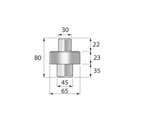 SWORZEŃ ZWROTNICYI MF
