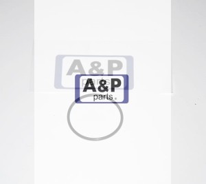 ORING 60X2 ZETOR 974520 