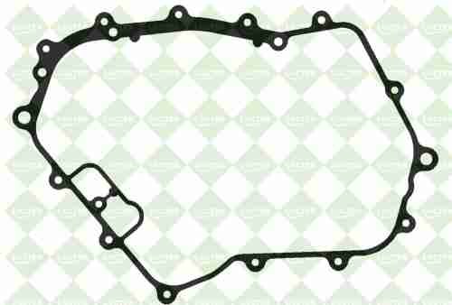 USZCZELKA POKRYWY DINLI 700-27850