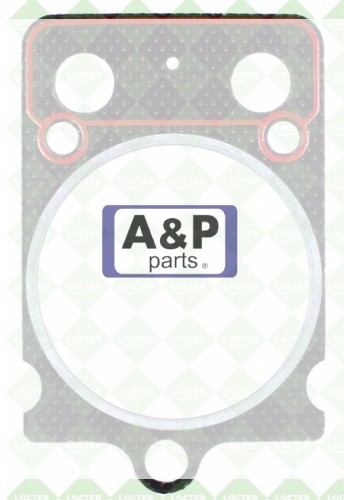 USZCZELKA GŁOWICY ANTONIO 3A14422 / FI99-30240