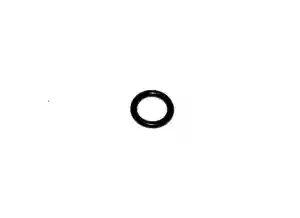 PIERŚCIEŃ ORING 55X45 ZETOR 974393