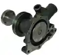 5b1be25a2a146675de95100cc262096a.jpg