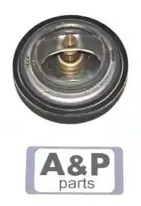 TERMOSTAT TV165.80 ZETOR 78005077-PL