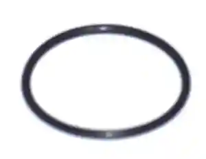 PIERŚCIEŃ ORING 79,2X5,7 54510318