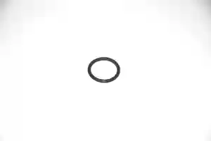 ORING LJF ZETOR UR I 33227908