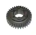 64619.jpg